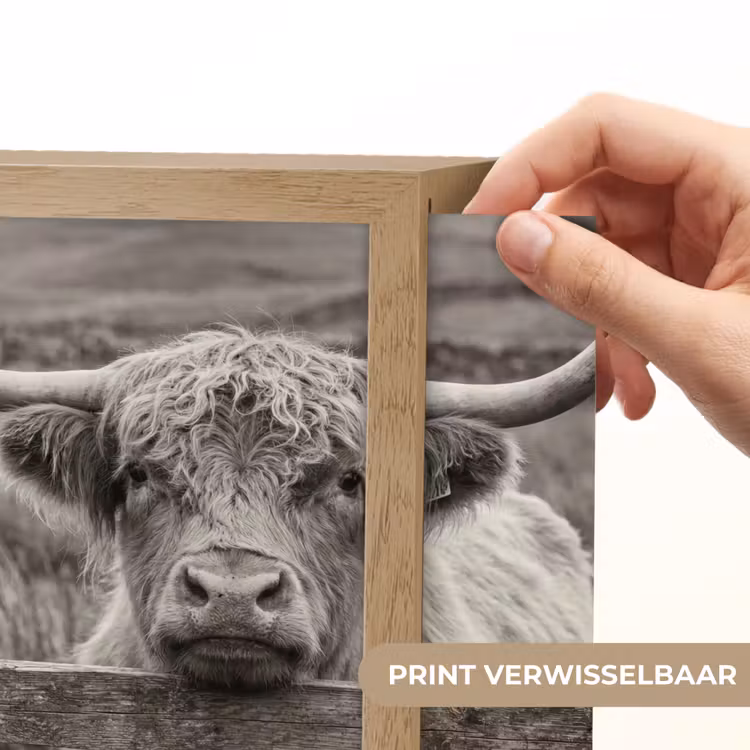 Lightbox - Wandlamp - Schotse hooglander - Zwart - Wit - Hout — 6