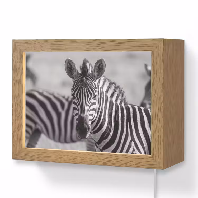 Lightbox - Wandlamp - Zebra's - Zwart - Wit — 1