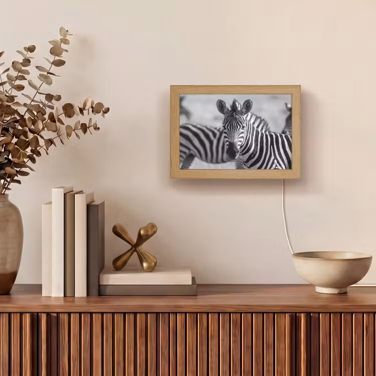Lightbox - Wandlamp - Zebra's - Zwart - Wit — 4