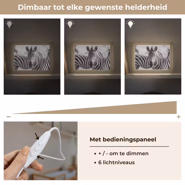 Lightbox - Wandlamp - Zebra's - Zwart - Wit — 8