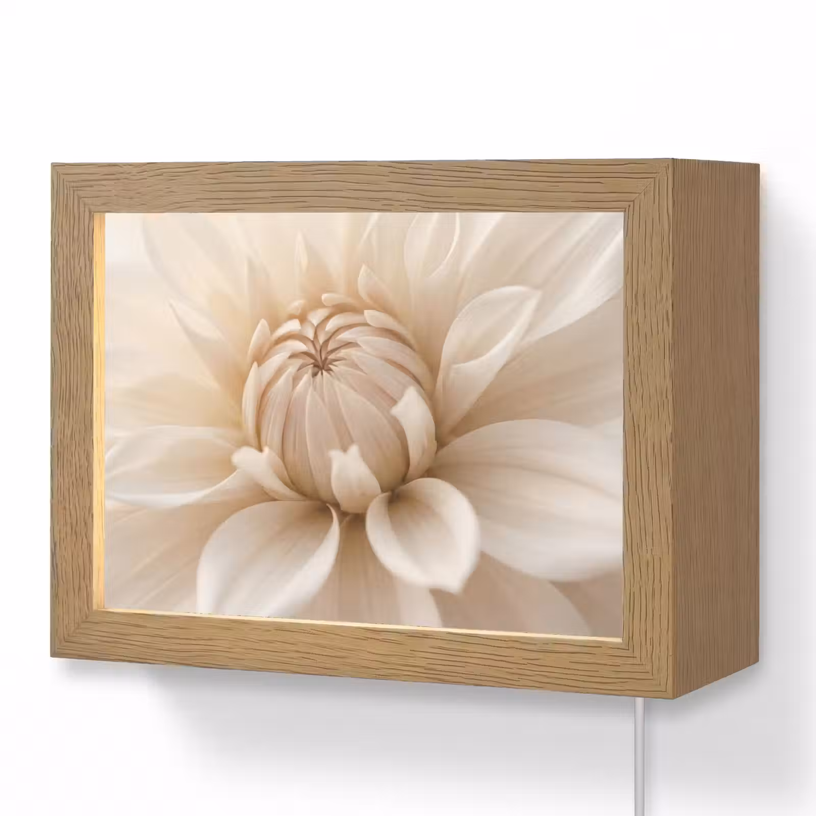 Lightbox - Wandlamp - Bloem - Dahlia - Wit — 1