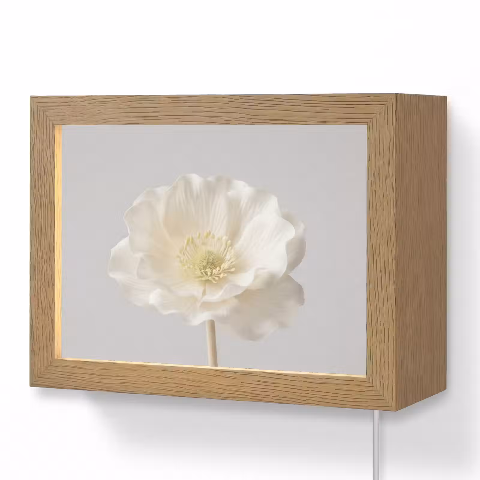 Lightbox - Wandlamp - Bloem - Minimalistisch -Wit — 1