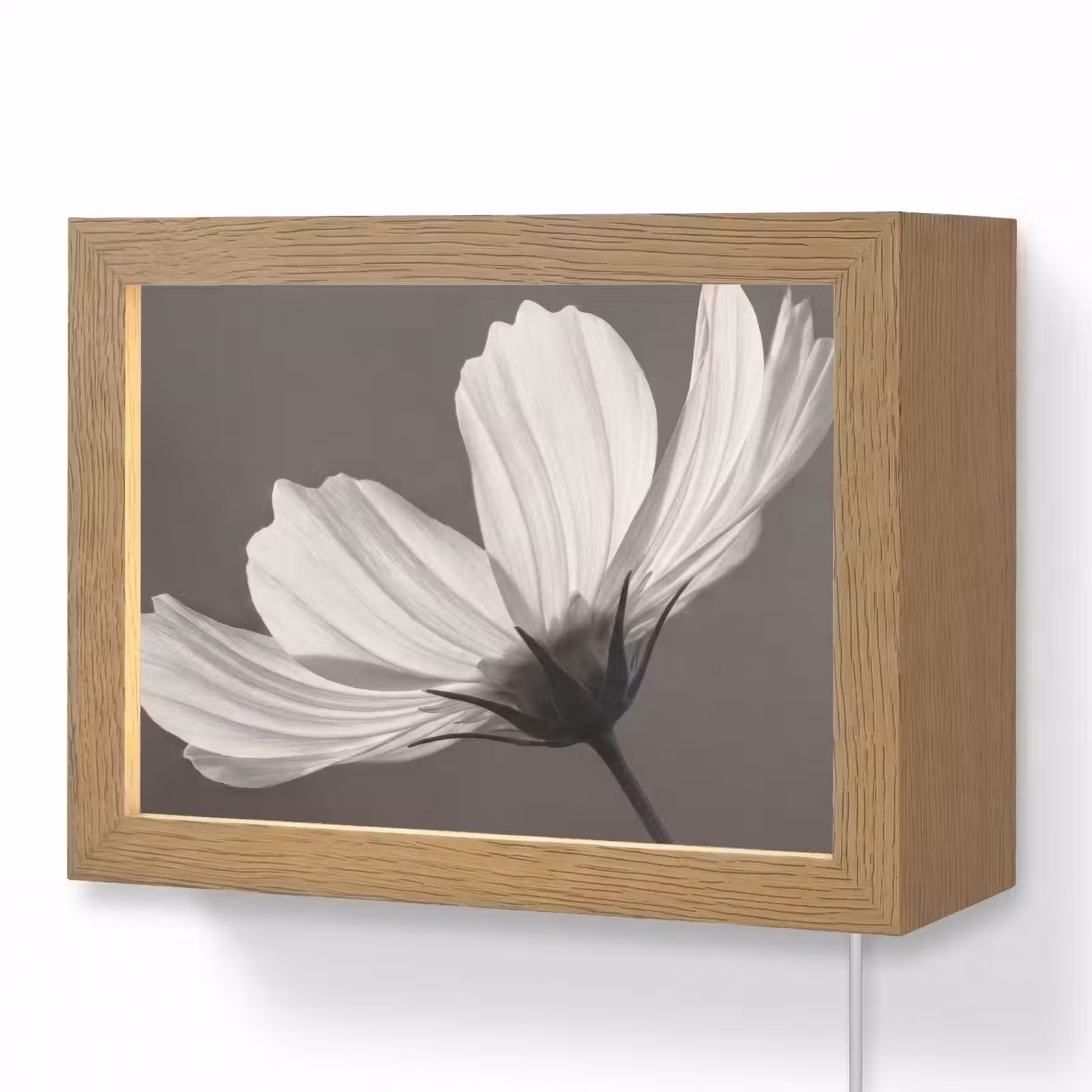 Lightbox - Wandlamp - Bloem - Minimalistisch - Zwart - Wit — 1