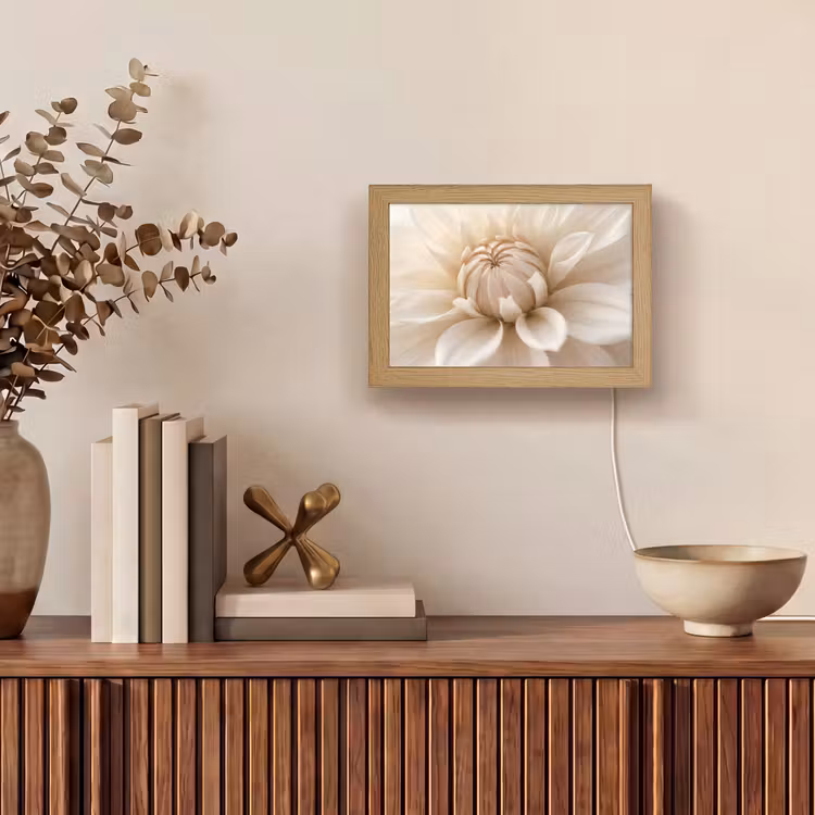 Lightbox - Wandlamp - Bloem - Dahlia - Wit — 4