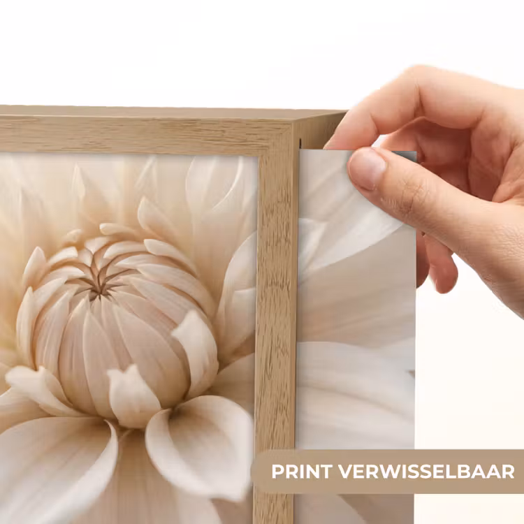 Lightbox - Wandlamp - Bloem - Dahlia - Wit — 6