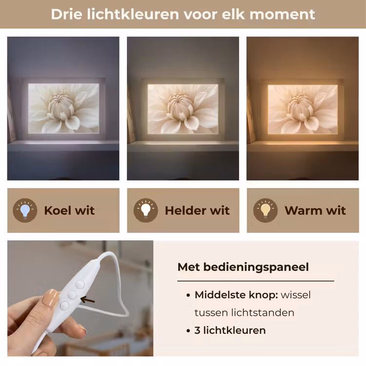 Lightbox - Wandlamp - Bloem - Dahlia - Wit — 7