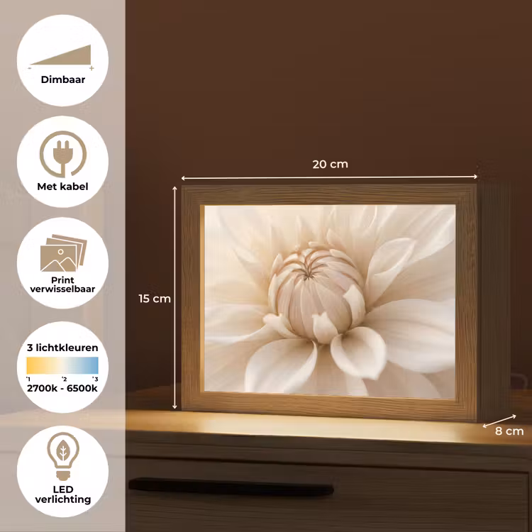 Lightbox - Wandlamp - Bloem - Dahlia - Wit — 9