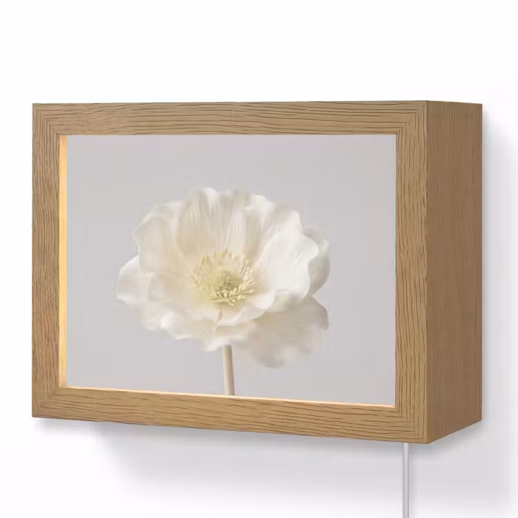 Lightbox - Wandlamp - Bloem - Minimalistisch -Wit — 1