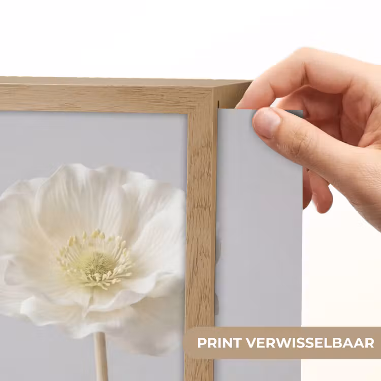 Lightbox - Wandlamp - Bloem - Minimalistisch -Wit — 6