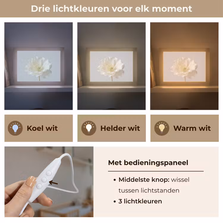 Lightbox - Wandlamp - Bloem - Minimalistisch -Wit — 7