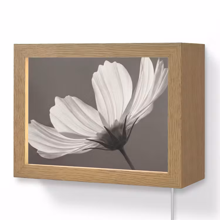 Lightbox - Wandlamp - Bloem - Minimalistisch - Zwart - Wit — 1