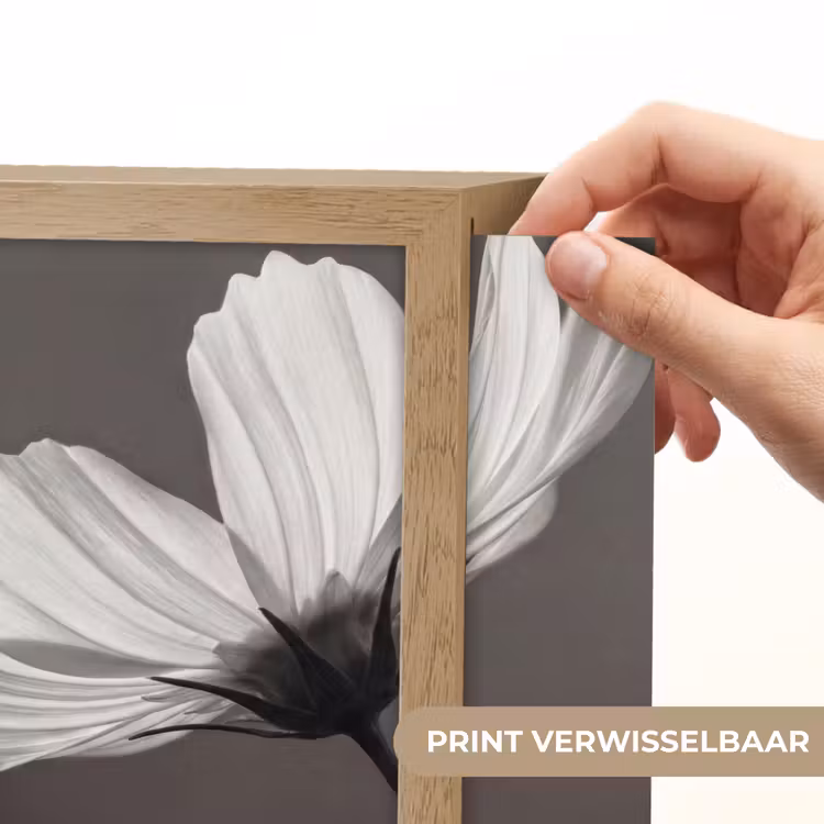 Lightbox - Wandlamp - Bloem - Minimalistisch - Zwart - Wit — 6