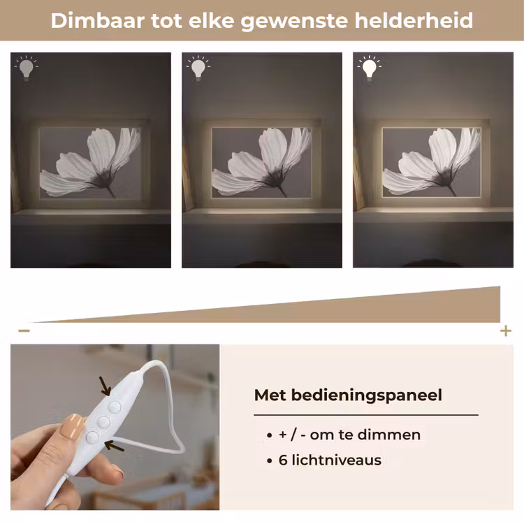 Lightbox - Wandlamp - Bloem - Minimalistisch - Zwart - Wit — 8
