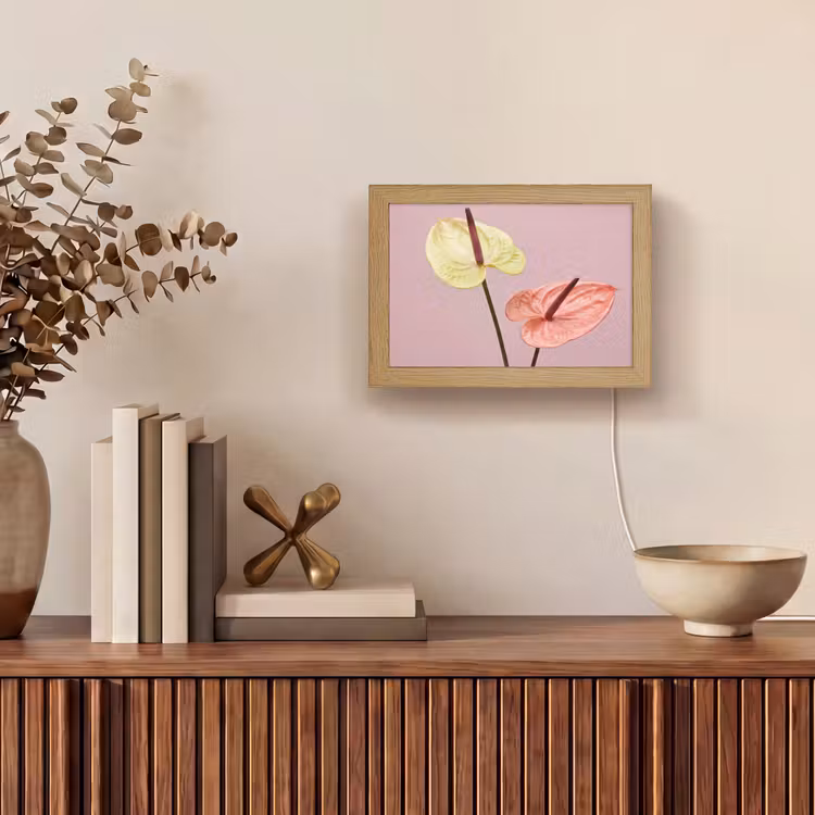 Lightbox - Wandlamp - Bloemen - Anthuriums - Geel - Roze — 4