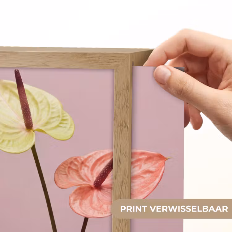 Lightbox - Wandlamp - Bloemen - Anthuriums - Geel - Roze — 6