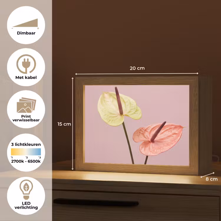 Lightbox - Wandlamp - Bloemen - Anthuriums - Geel - Roze — 9