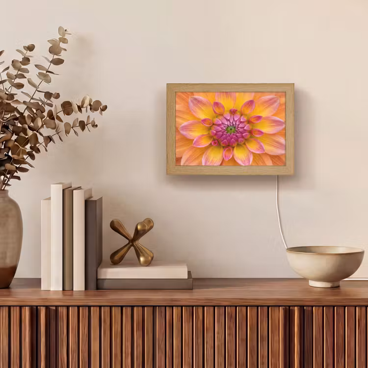 Lightbox - Wandlamp - Dahlia - Bloem - Oranje — 4