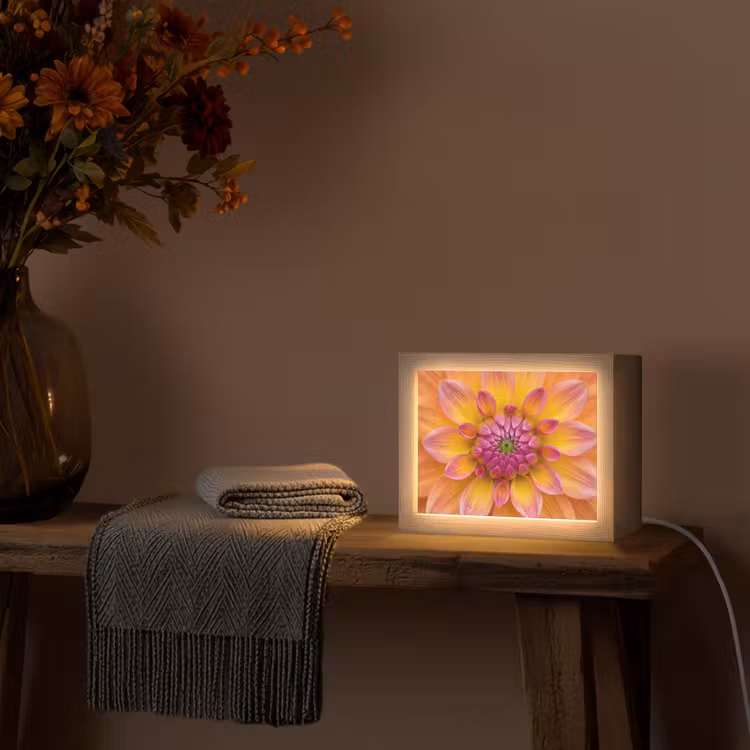 Lightbox - Wandlamp - Dahlia - Bloem - Oranje — 5