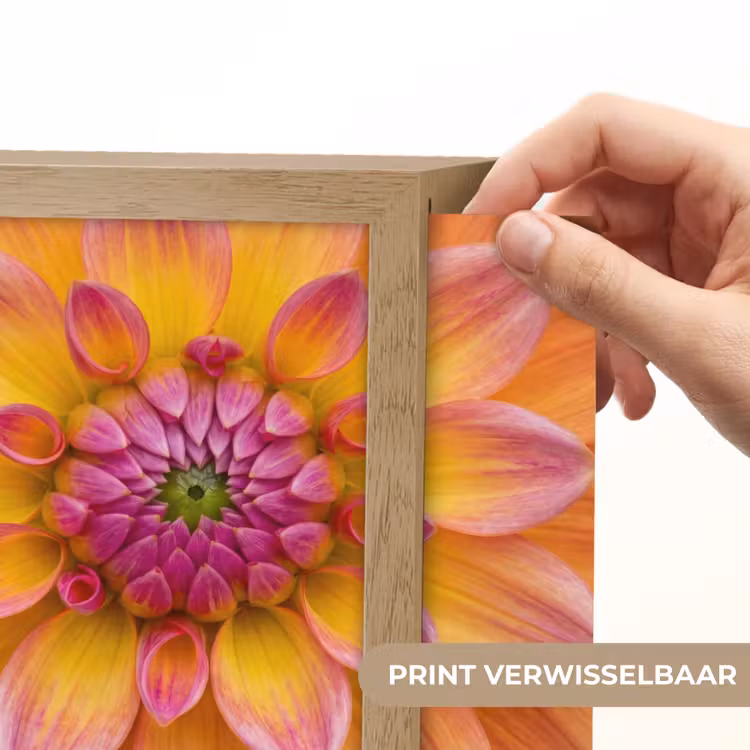 Lightbox - Wandlamp - Dahlia - Bloem - Oranje — 6