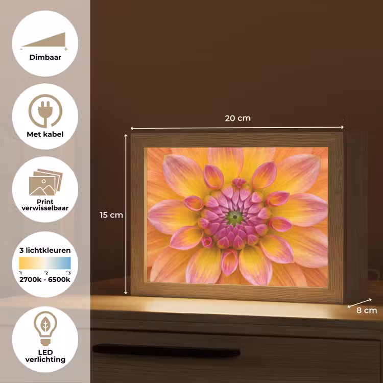 Lightbox - Wandlamp - Dahlia - Bloem - Oranje — 9