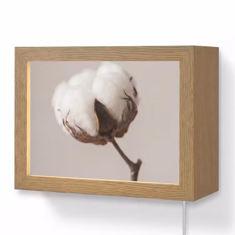 Lightbox - Wandlamp - Katoenbol - Minimalistisch - Wit — 1