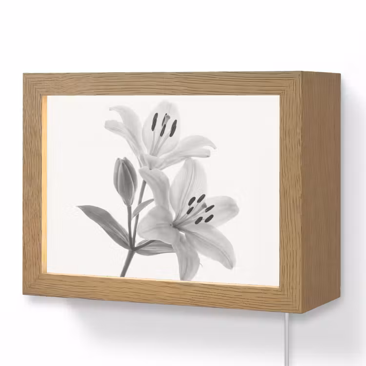 Lightbox - Wandlamp - Lelies - Elegant - Zwart - Wit — 1