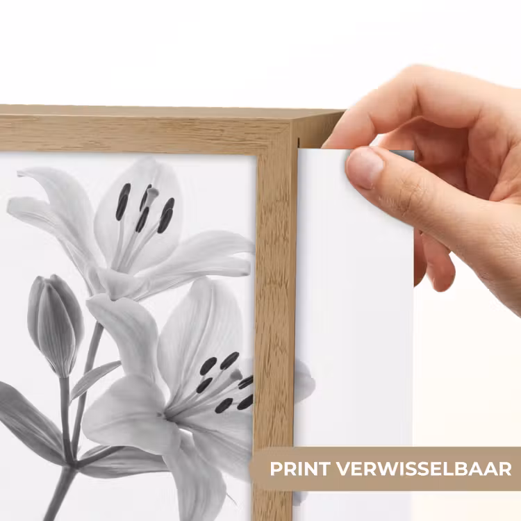 Lightbox - Wandlamp - Lelies - Elegant - Zwart - Wit — 6
