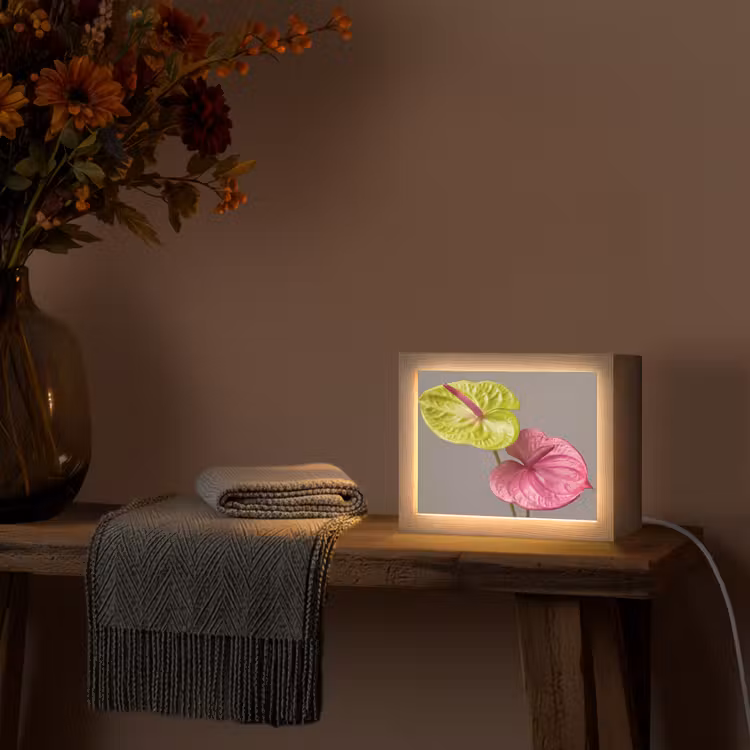 Lightbox - Wandlamp - Planten - Anthurium - Groen - Roze — 5