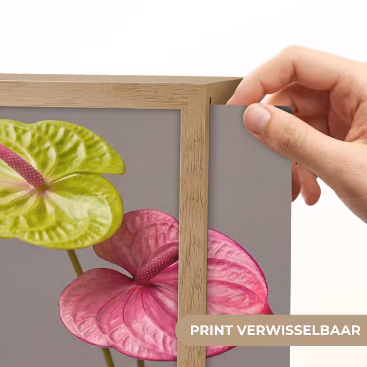 Lightbox - Wandlamp - Planten - Anthurium - Groen - Roze — 6