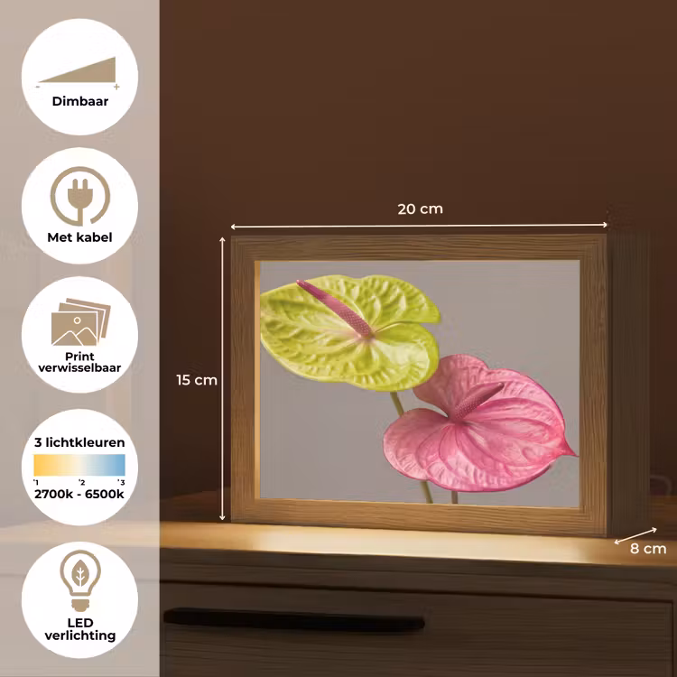Lightbox - Wandlamp - Planten - Anthurium - Groen - Roze — 9