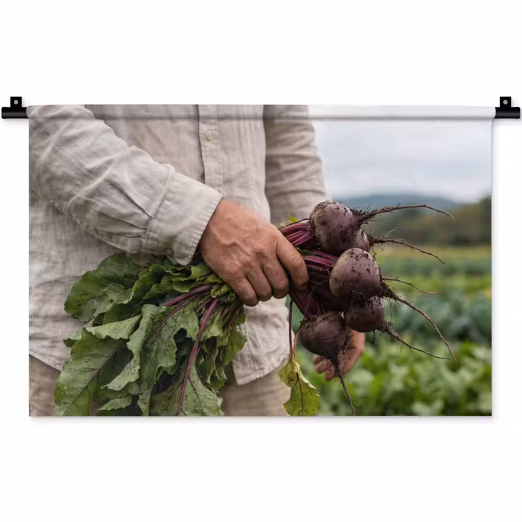 Wandkleed - Bieten - Vers - Moestuin — 1