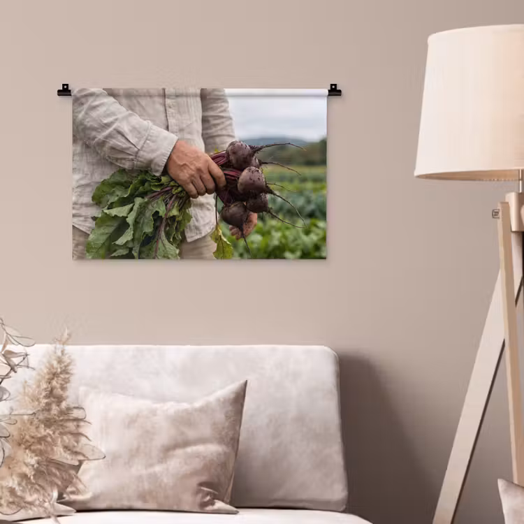 Wandkleed - Bieten - Vers - Moestuin — 2