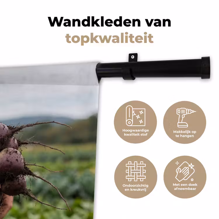 Wandkleed - Bieten - Vers - Moestuin — 3