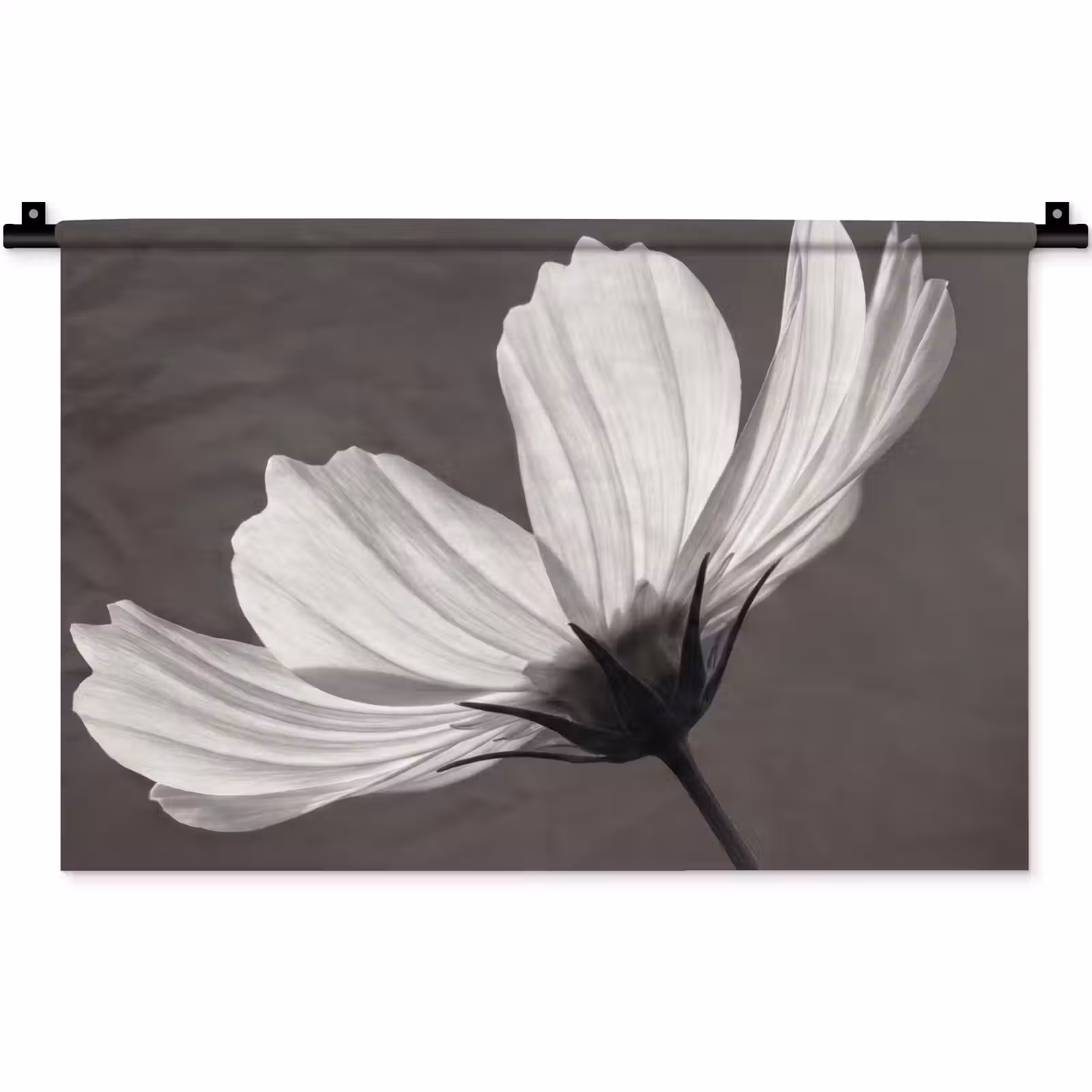Wandkleed - Bloem - Minimalistisch - Zwart - Wit — 1