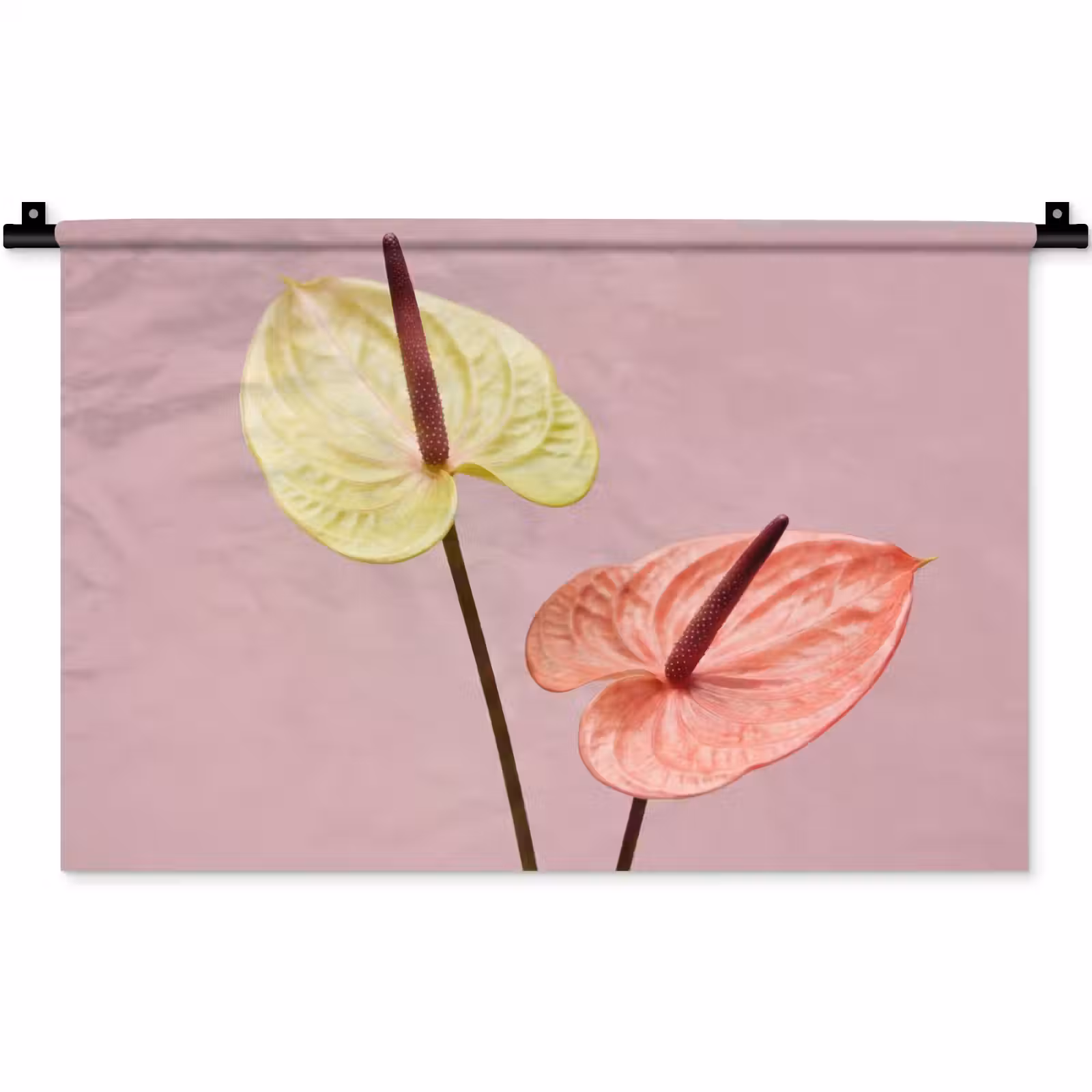 Wandkleed - Bloemen - Anthuriums - Geel - Roze — 1