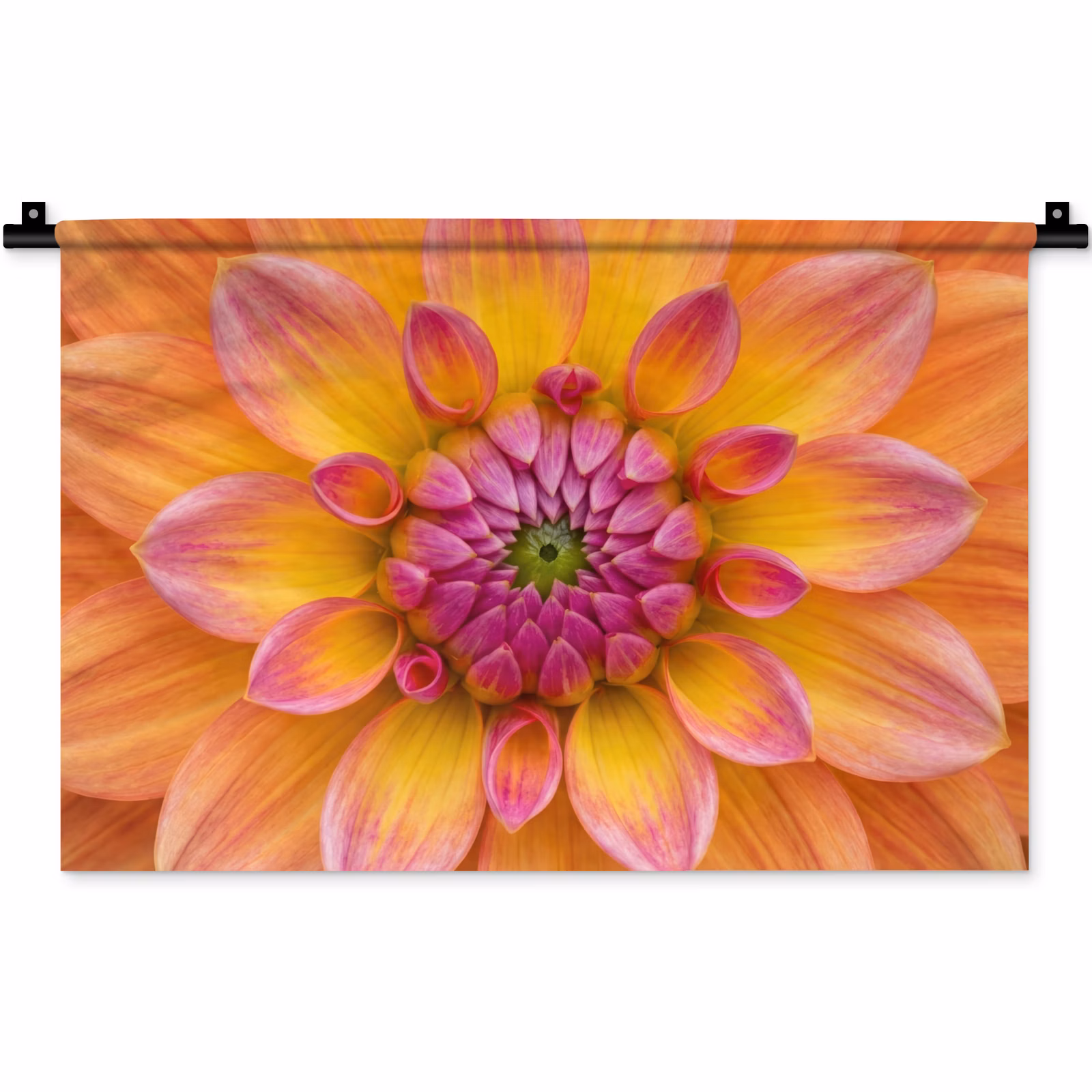 Wandkleed - Oranje Dahlia Close-up — 1