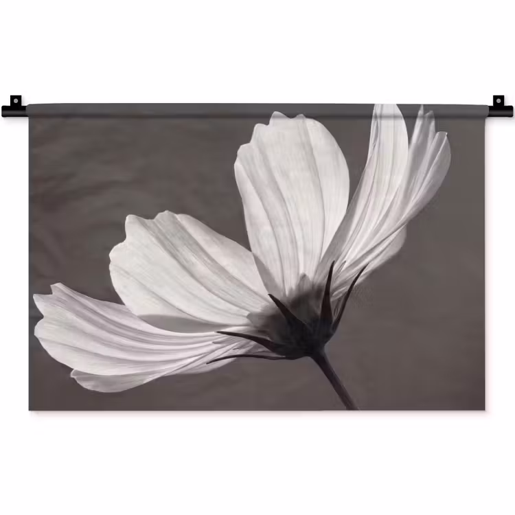 Wandkleed - Bloem - Minimalistisch - Zwart - Wit — 1