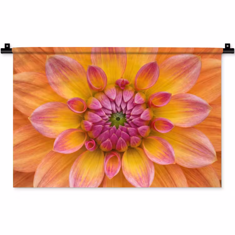 Wandkleed - Oranje Dahlia Close-up — 1