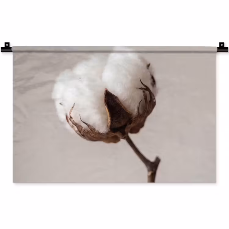 Wandkleed - Katoenbol - Minimalistisch - Wit — 1