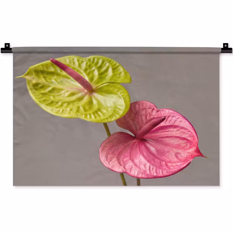 Wandkleed - Planten - Anthurium - Groen - Roze — 1