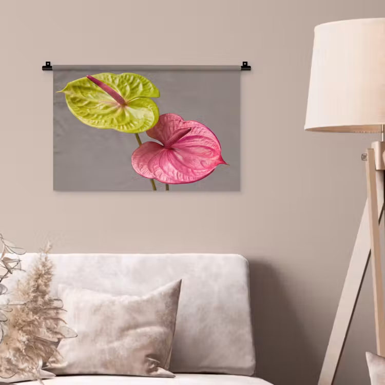 Wandkleed - Planten - Anthurium - Groen - Roze — 2