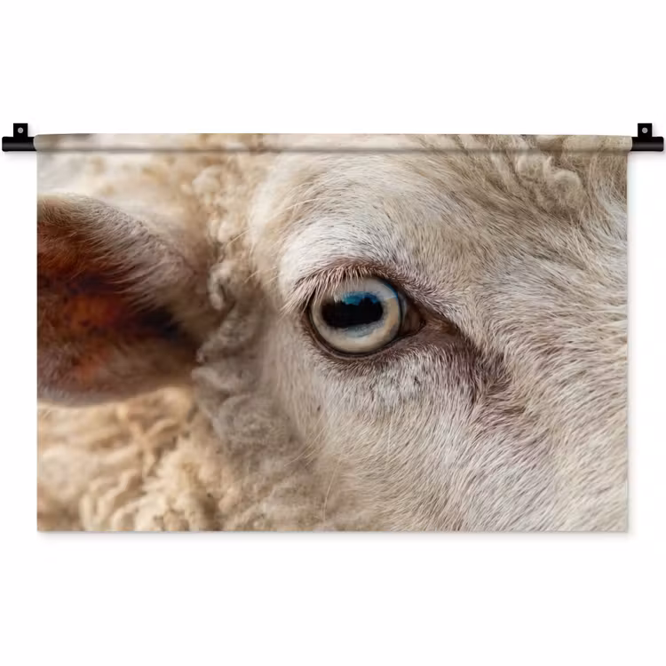 Wandkleed - Schaap - Oog - Wit — 1
