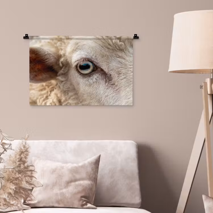 Wandkleed - Schaap - Oog - Wit — 2