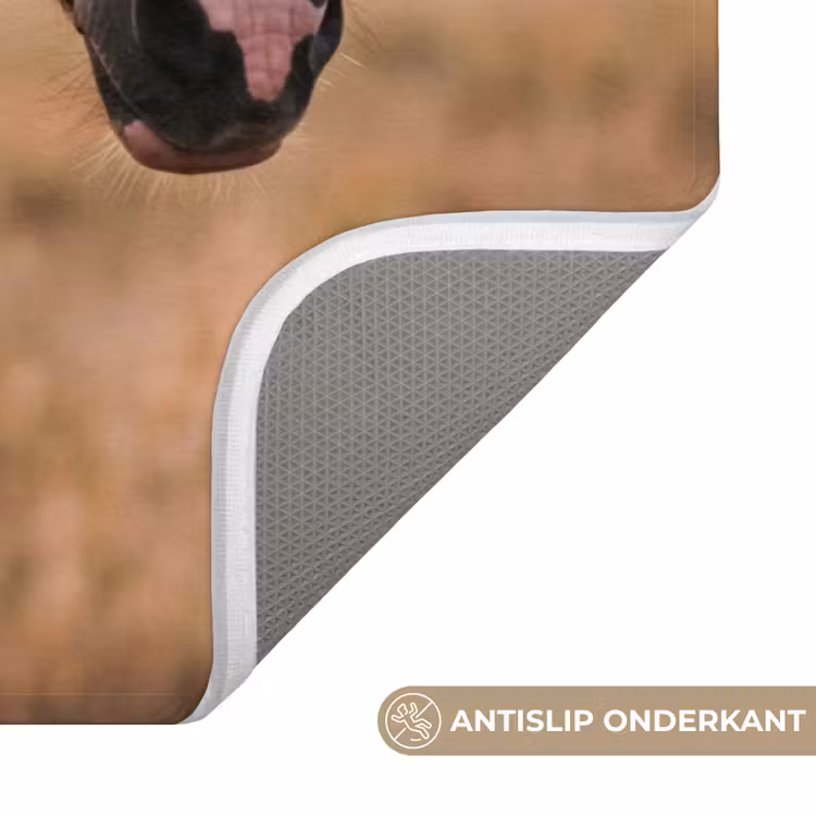 Badmat - Paard - Zonsondergang - Bruin — 3