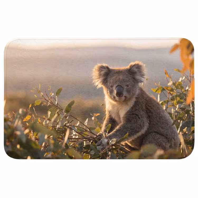Badmat - Koala - Bladeren - Ochtendlicht — 1
