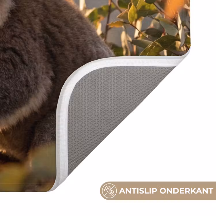 Badmat - Koala - Bladeren - Ochtendlicht — 3