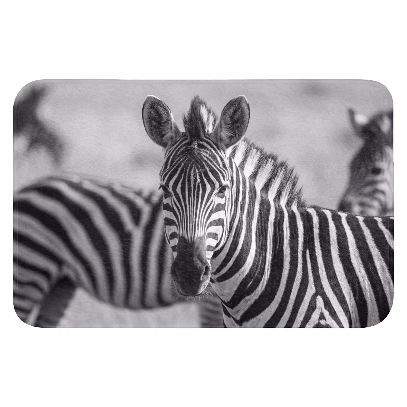 Badmat - Zebra's - Zwart - Wit — 1