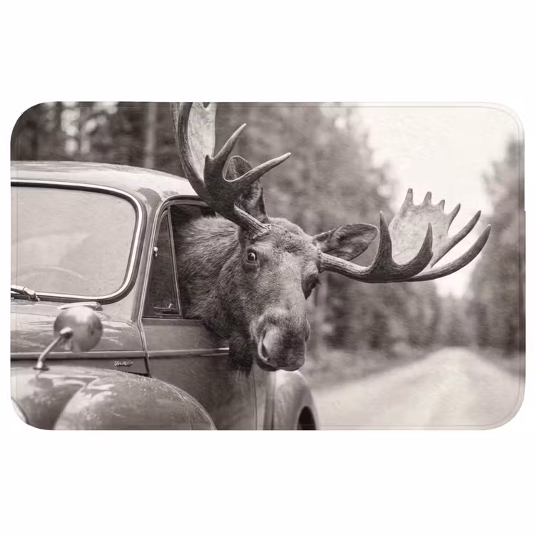 Wc Mat - Eland - Auto - Gewei - Zwart - Wit — 1
