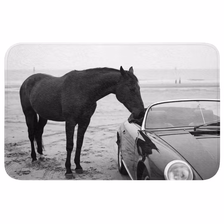 Wc Mat - Paard - Auto - Zwart - Wit — 1