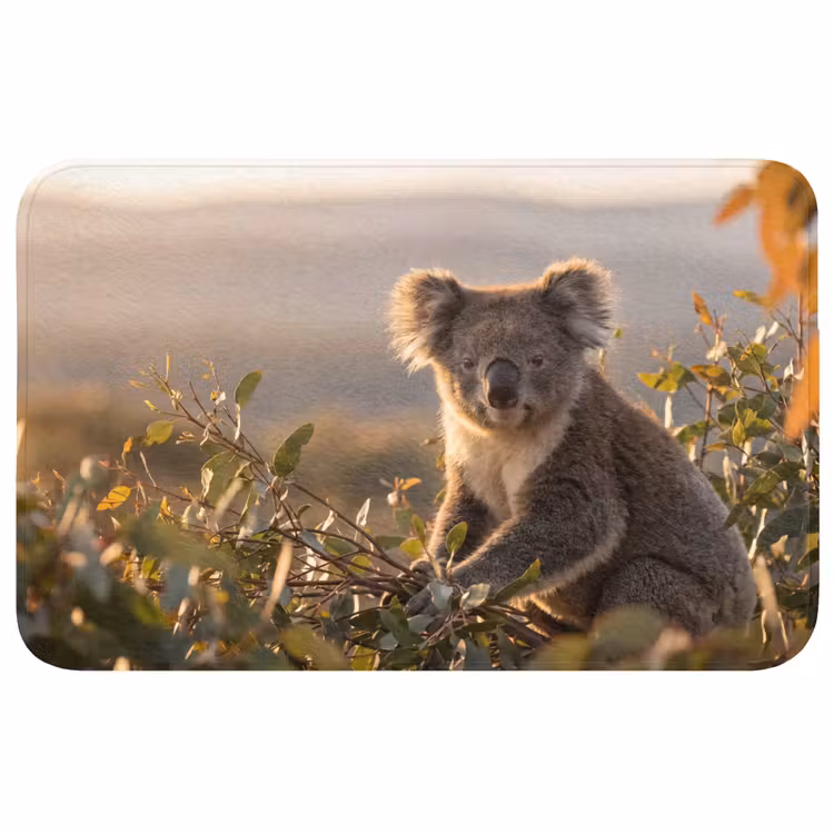 Wc Mat - Koala - Bladeren - Ochtendlicht — 1